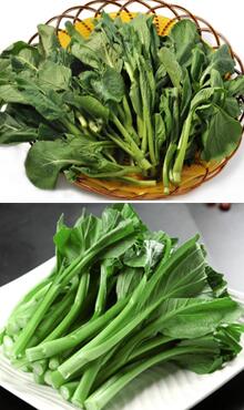 菜心圖片細節(jié)