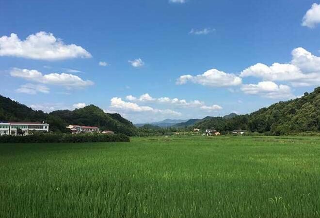 廈門(mén)蔬菜公司配送基地