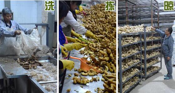 不用硫磺如何清洗生姜?